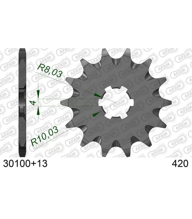 afam-pignone-acciaio-autopulente-30100-420-con-13-denti-30100-13.webp