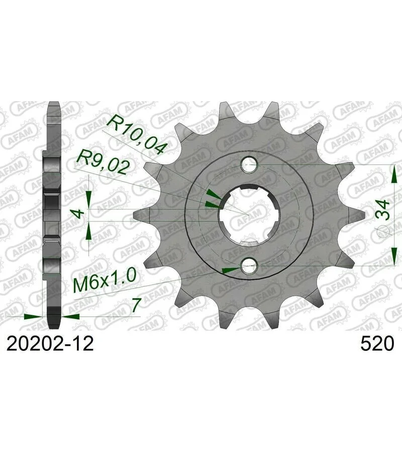 afam-pignone-acciaio-standard-20202-520-con-12-denti-20202-12.webp