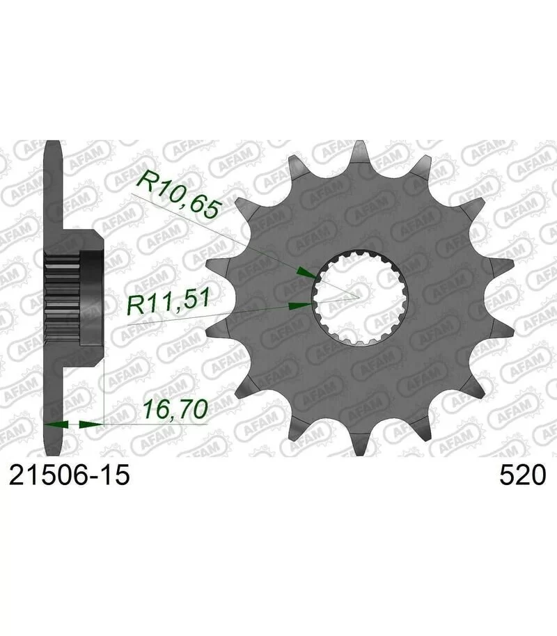 afam-pignone-acciaio-standard-21506-520-con-15-denti-21506-15.webp
