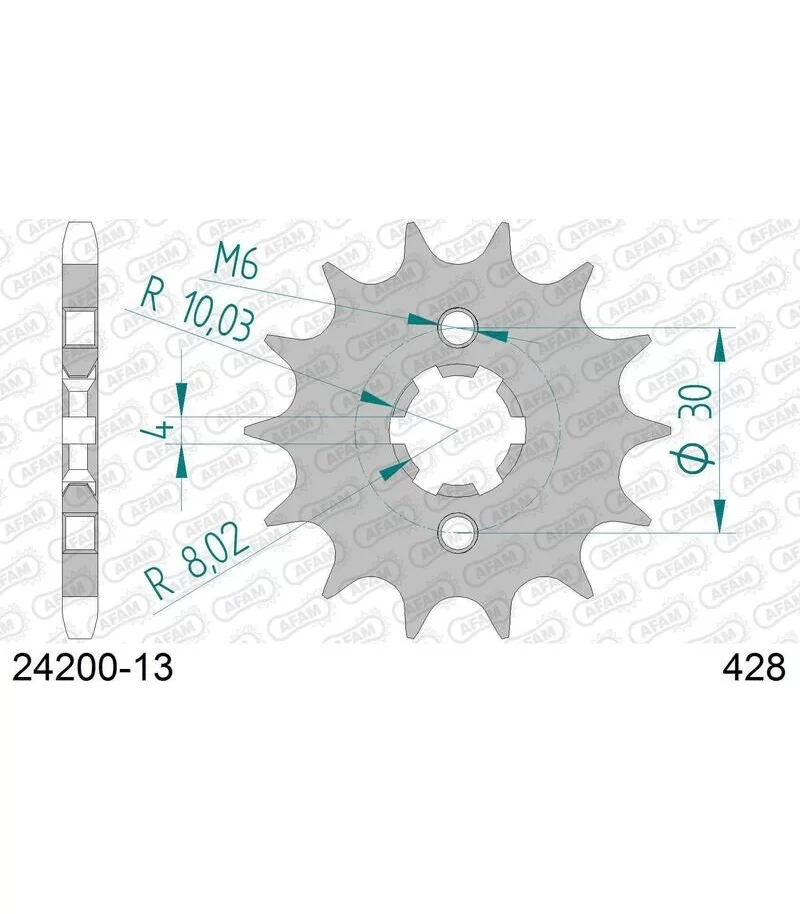 afam-pignone-acciaio-standard-24200-428-con-13-denti-24200-13.webp