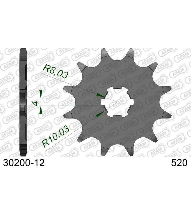afam-pignone-acciaio-standard-30200-520-con-12-denti-30200-12.webp