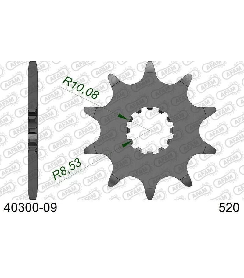 afam-pignone-acciaio-standard-40300-520-con-9-denti-40300-09.webp