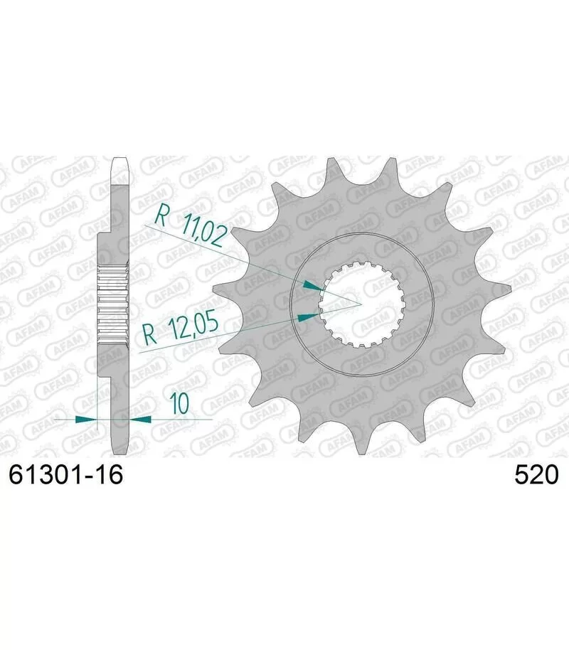 afam-pignone-acciaio-standard-61301-520-con-16-denti-61301-16.webp