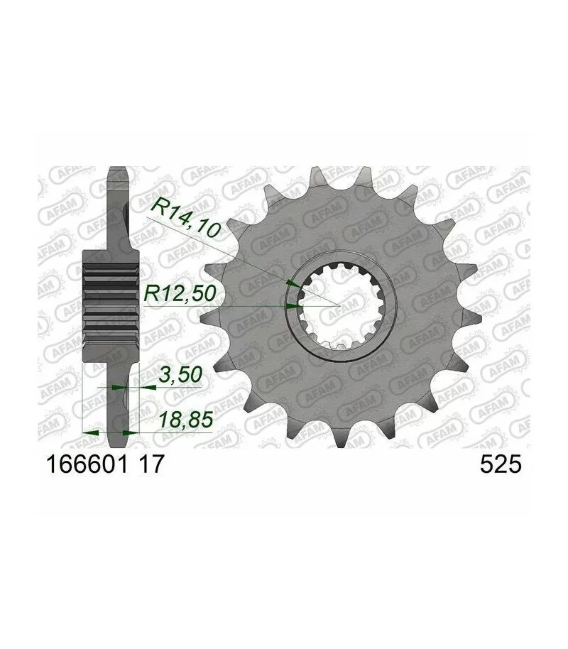 pignone-in-acciaio-standard-afam-166601-525-con-17-denti-166601-17.webp
