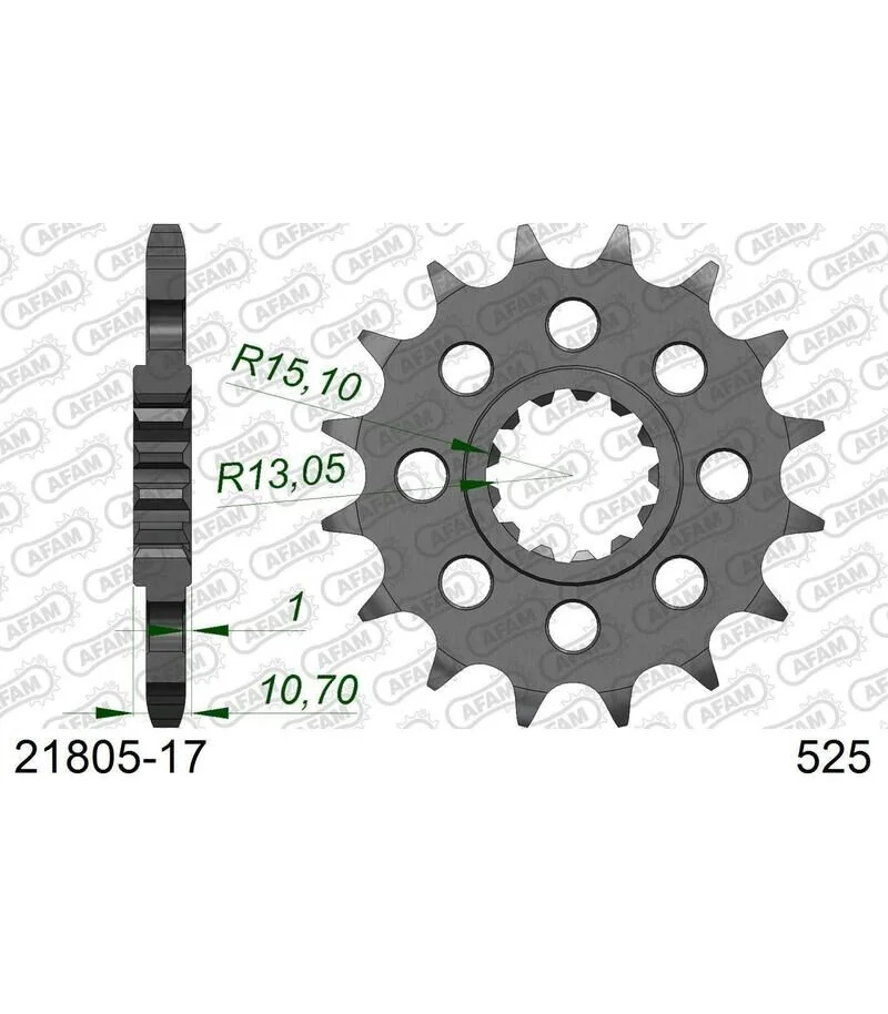 pignone-in-acciaio-standard-afam-21805-525-con-17-denti-21805-17.webp