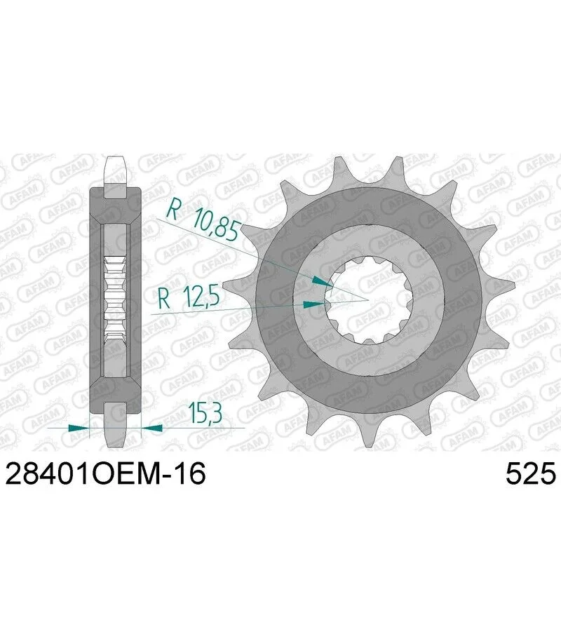 pignone-in-acciaio-standard-afam-28401-525-con-16-denti-28401nr-16.webp