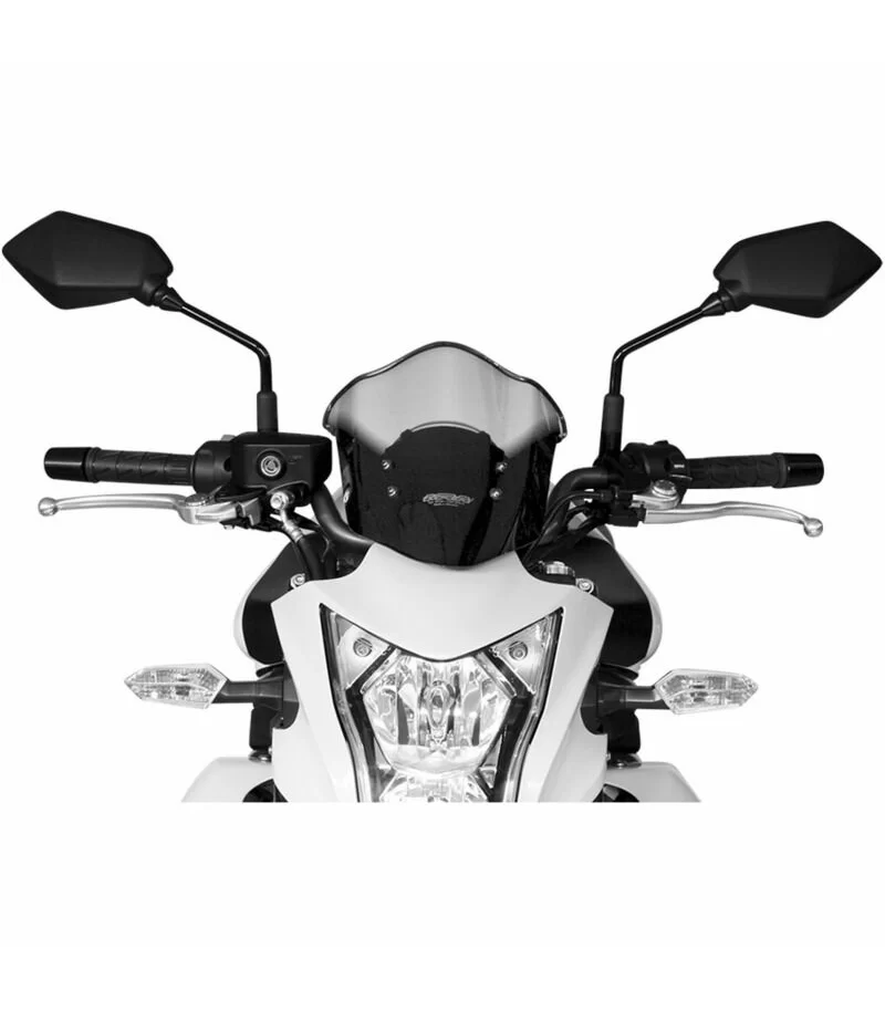 schermo-mra-touring-fume-er6n-12-4025066132690-1.webp